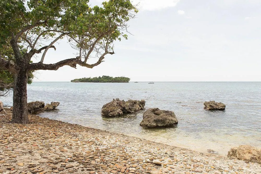 Sea Breeze Beach Studio - Negril 0*,  Jamaica